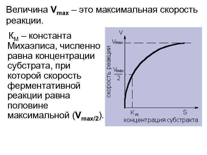 Величина Vmax – это максимальная скорость реакции. КМ – константа Михаэлиса, численно равна концентрации