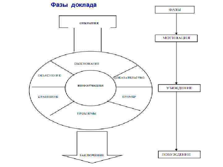 Фазы доклада 