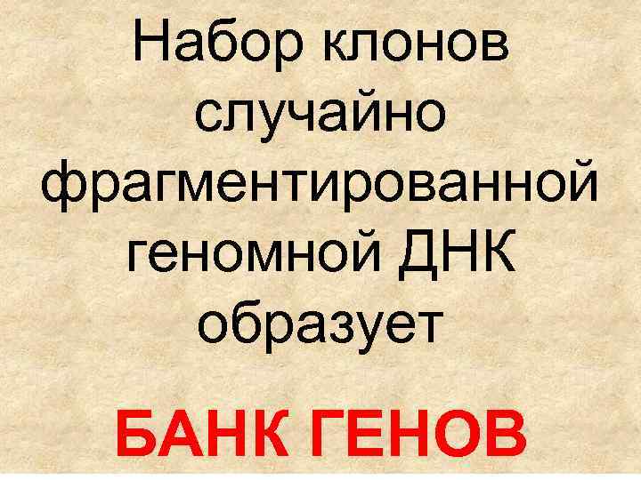 Набор клонов случайно фрагментированной геномной ДНК образует БАНК ГЕНОВ 