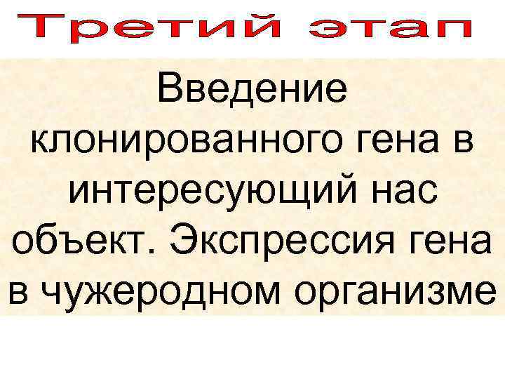 Введение клонированного гена в интересующий нас объект. Экспрессия гена в чужеродном организме 
