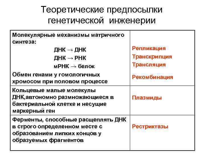 Теоретические предпосылки генетической инженерии Молекулярные механизмы матричного синтеза: ДНК → РНК м. РНК →