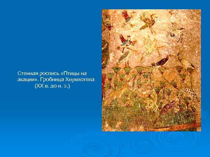 Стенная роспись «Птицы на акации» . Гробница Хнумхотепа (XX в. до н. э. )