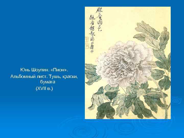 Юнь Шоупин. «Пион» . Альбомный лист. Тушь, краски, бумага (XVII в. ) 