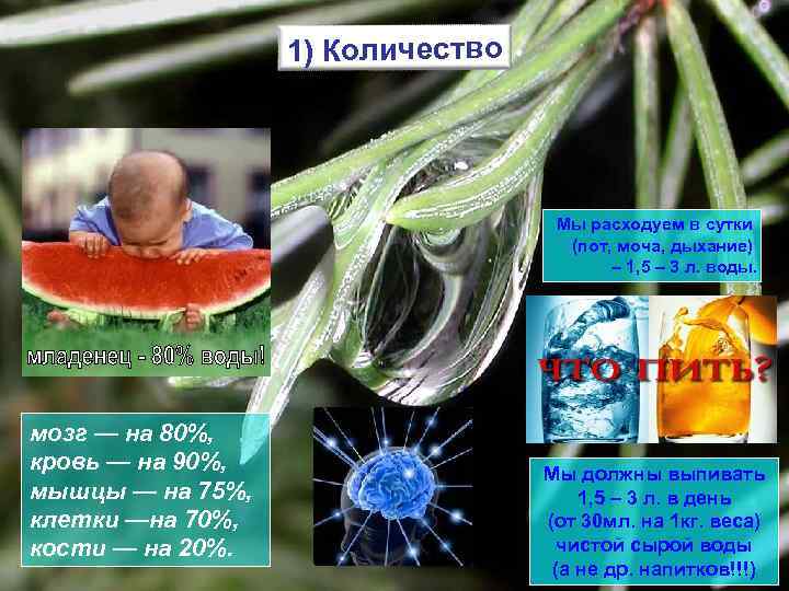 1) Количество Мы расходуем в сутки (пот, моча, дыхание) – 1, 5 – 3