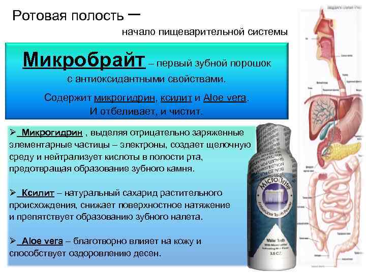 Ротовая полость – начало пищеварительной системы Микробрайт – первый зубной порошок с антиоксидантными свойствами.