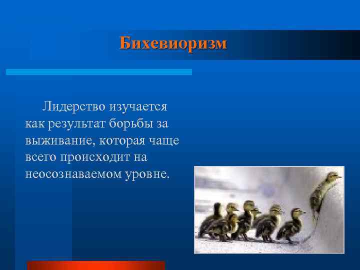 Бихевиоризм Лидерство изучается как результат борьбы за выживание, которая чаще всего происходит на неосознаваемом