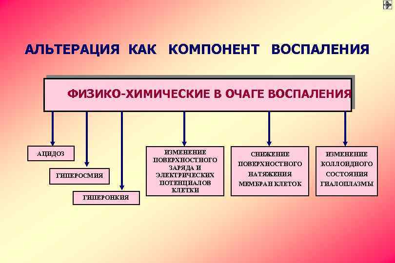 АЛЬТЕРАЦИЯ КАК КОМПОНЕНТ ВОСПАЛЕНИЯ ФИЗИКО-ХИМИЧЕСКИЕ В ОЧАГЕ ВОСПАЛЕНИЯ АЦИДОЗ ГИПЕРОСМИЯ ГИПЕРОНКИЯ ИЗМЕНЕНИЕ ПОВЕРХНОСТНОГО ЗАРЯДА