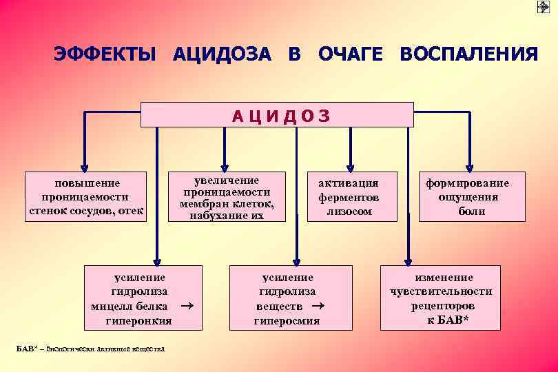 ЭФФЕКТЫ АЦИДОЗА В ОЧАГЕ ВОСПАЛЕНИЯ АЦИДОЗ повышение проницаемости стенок сосудов, отек увеличение проницаемости мембран