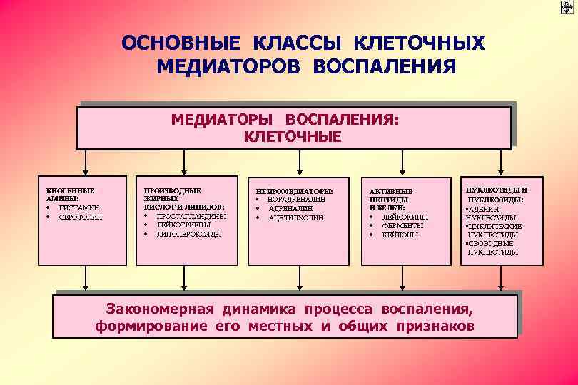 ОСНОВНЫЕ КЛАССЫ КЛЕТОЧНЫХ МЕДИАТОРОВ ВОСПАЛЕНИЯ МЕДИАТОРЫ ВОСПАЛЕНИЯ: КЛЕТОЧНЫЕ БИОГЕННЫЕ АМИНЫ: · ГИСТАМИН · СЕРОТОНИН