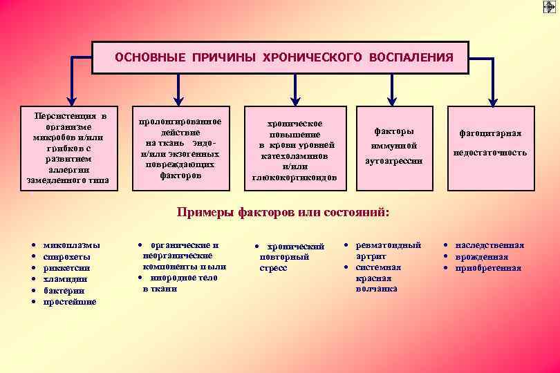 ОСНОВНЫЕ ПРИЧИНЫ ХРОНИЧЕСКОГО ВОСПАЛЕНИЯ Персистенция в организме микробов и/или грибков с развитием аллергии замедленного