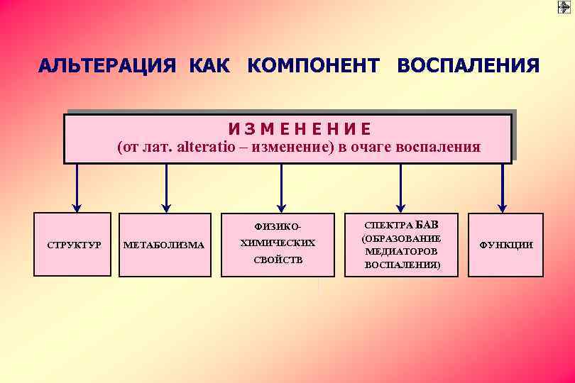 АЛЬТЕРАЦИЯ КАК КОМПОНЕНТ ВОСПАЛЕНИЯ ИЗМЕНЕНИЕ (от лат. alteratio – изменение) в очаге воспаления ФИЗИКОСТРУКТУР