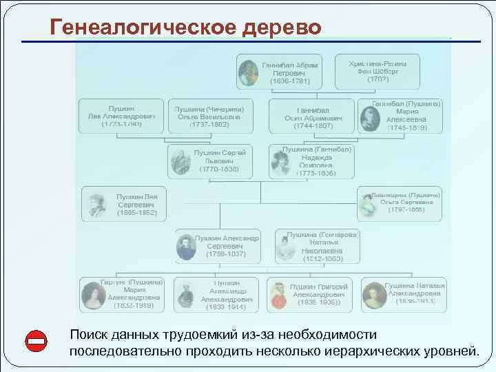 Генеалогическое дерево Поиск данных трудоемкий из-за необходимости последовательно проходить несколько иерархических уровней. 