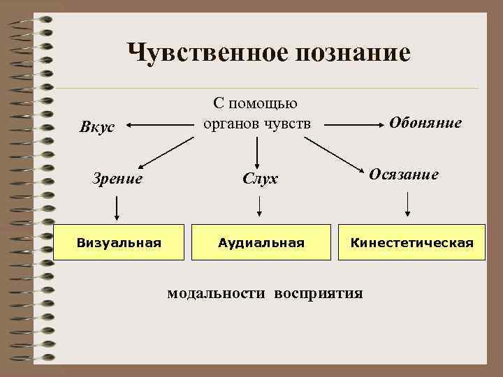 Чувственное познание Вкус С помощью органов чувств Зрение Аудиальная Осязание Слух Визуальная Обоняние Кинестетическая