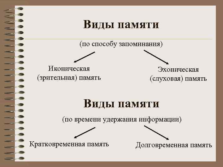 Виды памяти (по способу запоминания) Иконическая (зрительная) память Эхоническая (слуховая) память Виды памяти (по