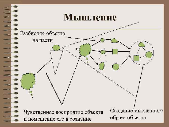 Мышление Разбиение объекта на части Чувственное восприятие объекта и помещение его в сознание Создание