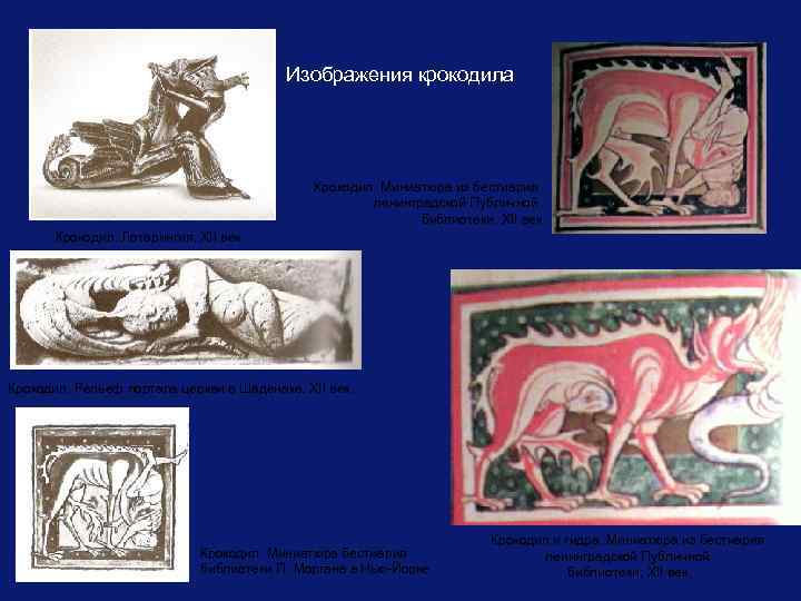 Изображения крокодила Крокодил. Миниатюра из бестиария ленинградской Публичной библиотеки, XII век. Крокодил. Лотарингия, XII