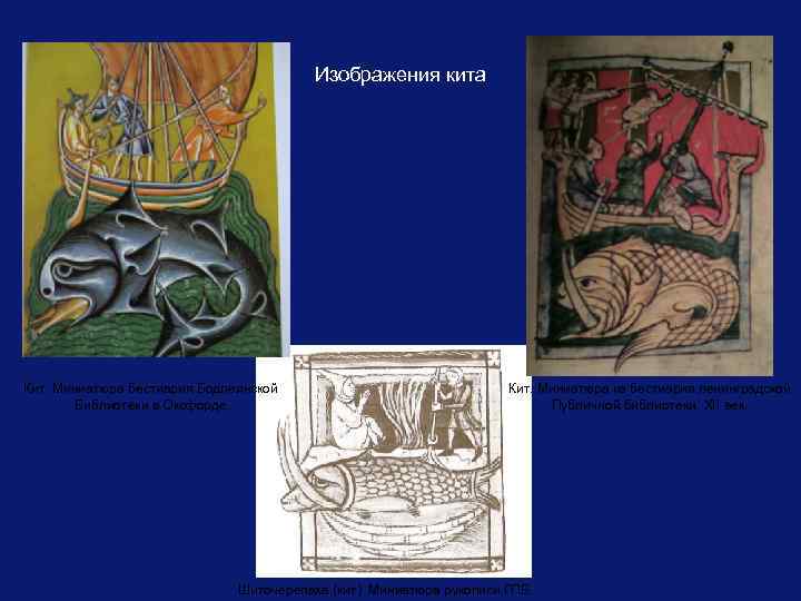 Изображения кита Кит. Миниатюра бестиария Бодлеянской Библиотеки в Оксфорде. Кит. Миниатюра из бестиария ленинградской