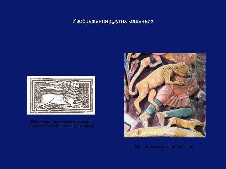 Изображения других кошачьих Пард-барс. Миниатюра бестиария Бодлеянской библиотеки в Оксфорде Капитель церкви в Пуатье,
