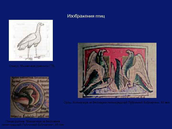 Изображения птиц Страус. Миниатюра рукописи ГПБ. Орлы. Миниатюра из бестиария ленинградской Публичной библиотеки, XII