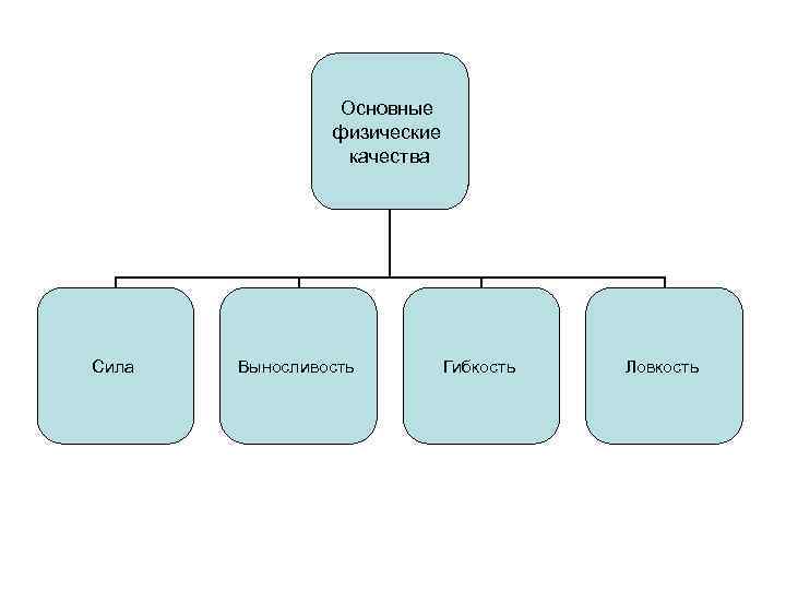 Основные физические качества Сила Выносливость Гибкость Ловкость 