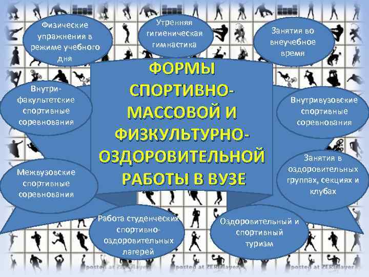 Физические упражнения в режиме учебного дня Внутрифакультетские спортивные соревнования Межвузовские спортивные соревнования Утренняя гигиеническая