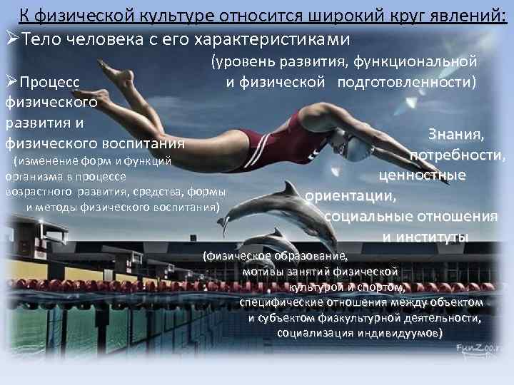 К физической культуре относится широкий круг явлений: ØТело человека с его характеристиками ØПроцесс физического
