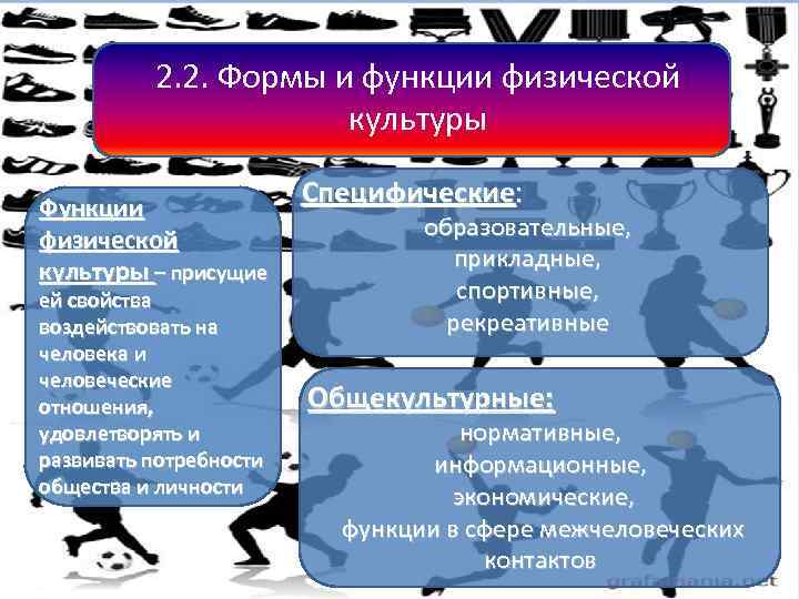 Виды и функции культуры план