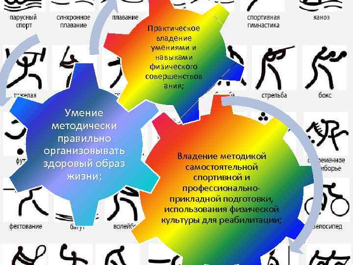 Практическое владение умениями и навыками физического совершенствов ания; Умение методически правильно организовывать здоровый образ