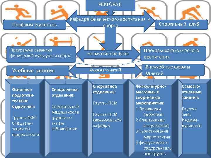 РЕКТОРАТ Профком студентов Кафедра физического воспитания и спорта Программа развития физической культуры и спорта