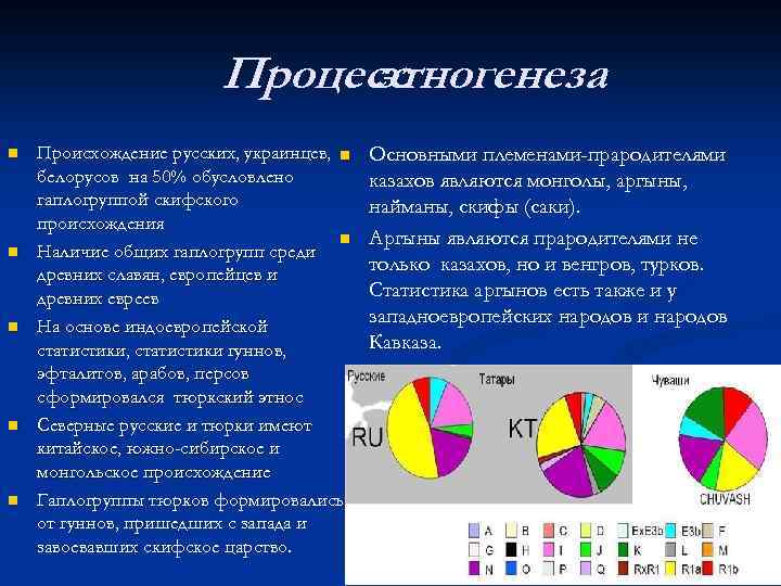 Процесс этногенеза n n n Происхождение русских, украинцев, n белорусов на 50% обусловлено гаплогруппой