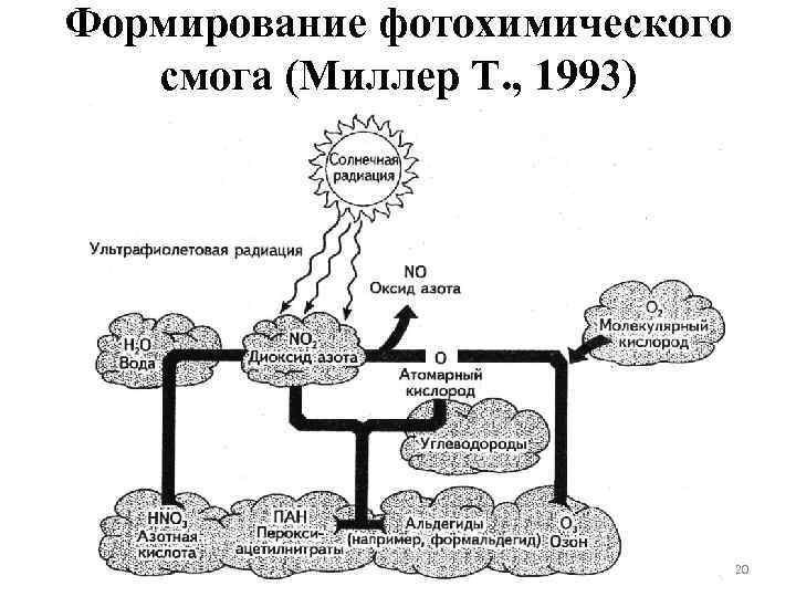 Формирование фотохимического смога (Миллер Т. , 1993) 20 