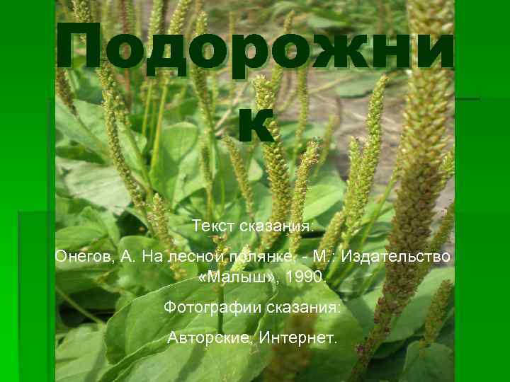Подорожни к Текст сказания: Онегов, А. На лесной полянке, - М. : Издательство «Малыш»