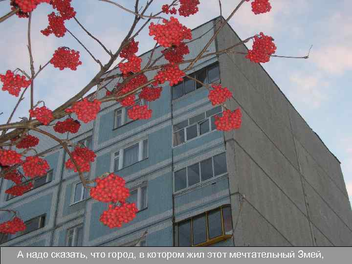 А надо сказать, что город, в котором жил этот мечтательный Змей, 