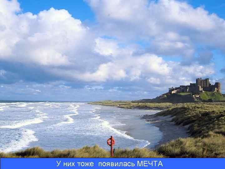 У них тоже появилась МЕЧТА 
