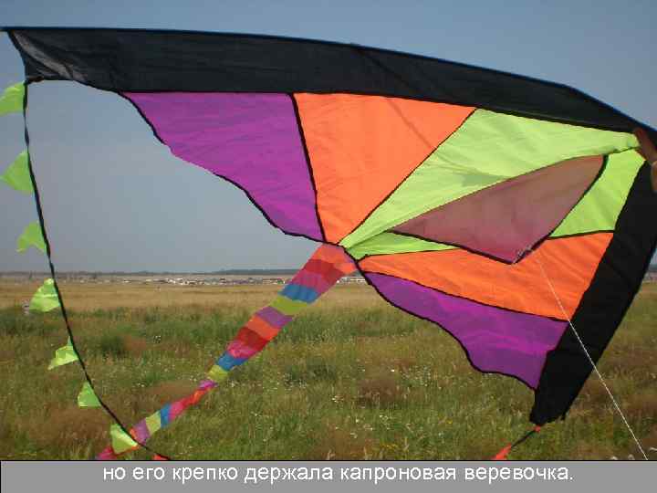 но его крепко держала капроновая веревочка. 