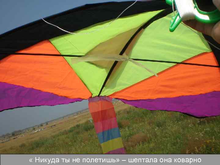  « Никуда ты не полетишь» – шептала она коварно 