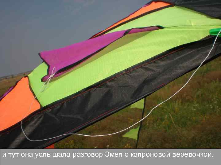 и тут она услышала разговор Змея с капроновой веревочкой. 