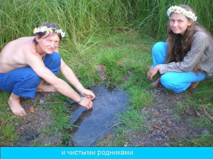 и чистыми родниками. 