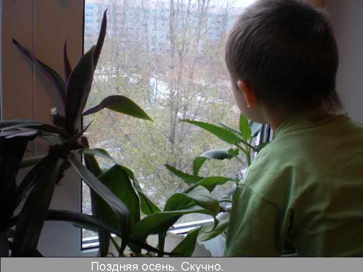 Поздняя осень. Скучно. 