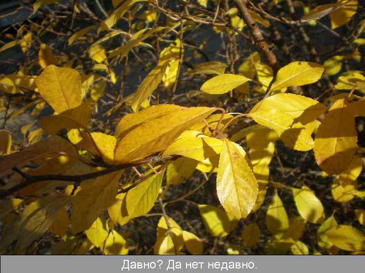 Давно? Да нет недавно. 