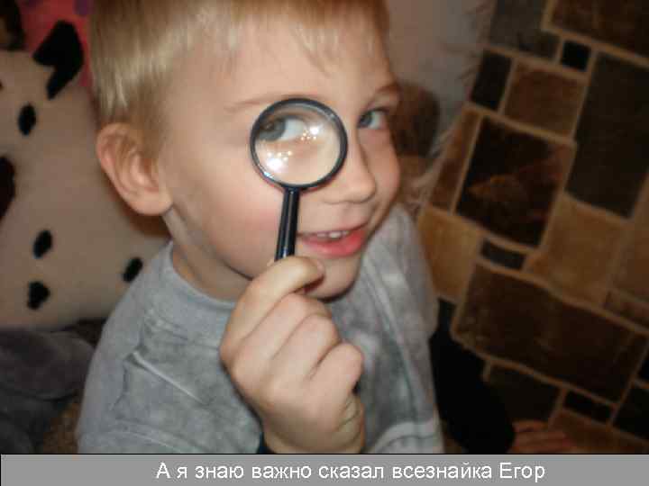 А я знаю важно сказал всезнайка Егор 