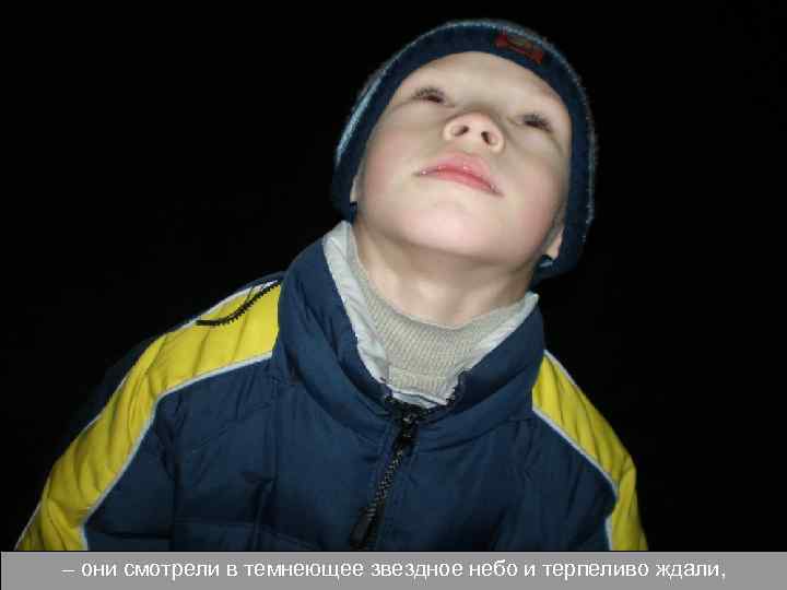 – они смотрели в темнеющее звездное небо и терпеливо ждали, 
