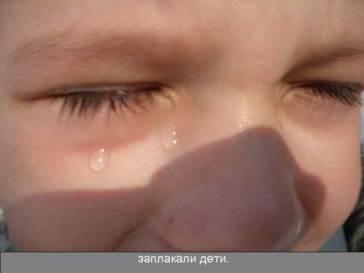 заплакали дети. 