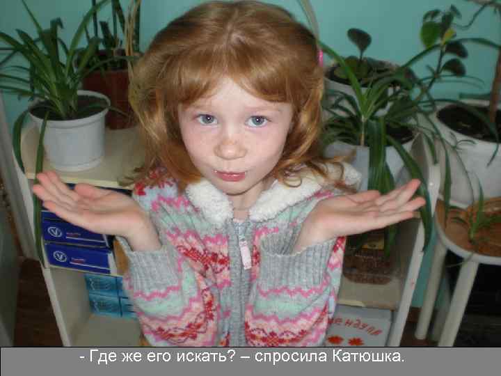 - Где же его искать? – спросила Катюшка. 