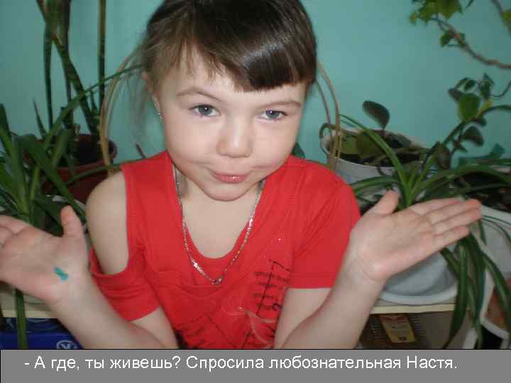 - А где, ты живешь? Спросила любознательная Настя. 