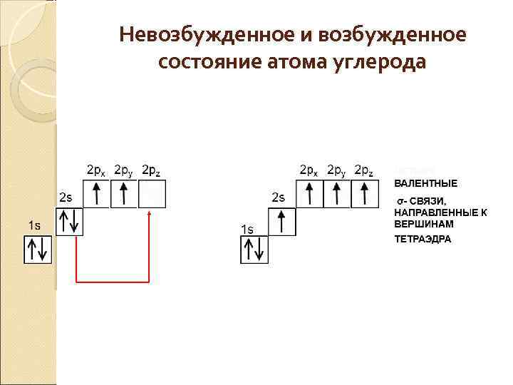 Невозбужденное и возбужденное состояние атома углерода 