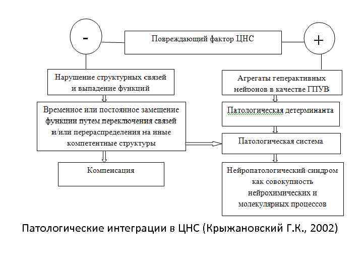 Патологические интеграции в ЦНС (Крыжановский Г. К. , 2002) 