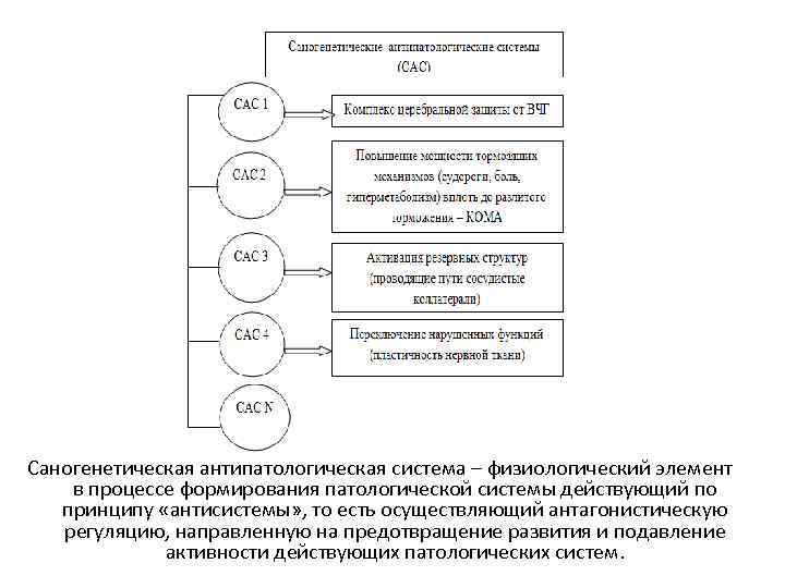 Саногенетическая антипатологическая система – физиологический элемент в процессе формирования патологической системы действующий по принципу