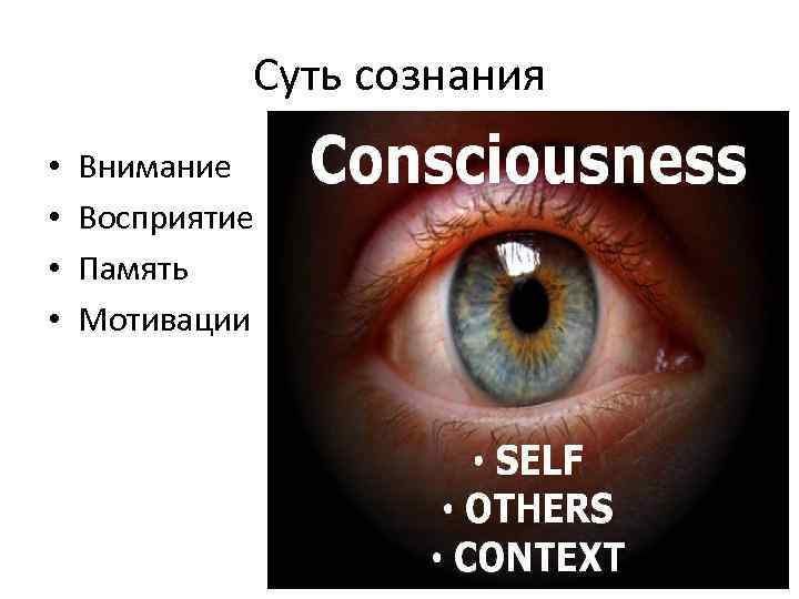 Суть сознания • • Внимание Восприятие Память Мотивации 