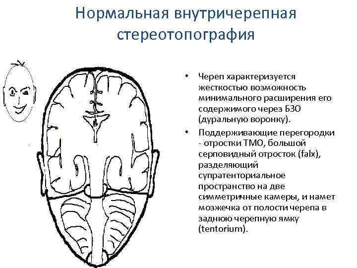 Нормальная внутричерепная стереотопография • Череп характеризуется жесткостью возможность минимального расширения его содержимого через БЗО